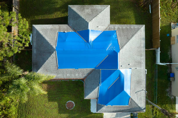 Best Roof Moss and Algae Removal  in Stuart, VA